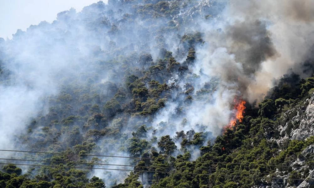 Κόρινθος: Σε κατάσταση έκτακτης ανάγκης- Εκτός ελέγχου η φωτιά στις Κεχριές